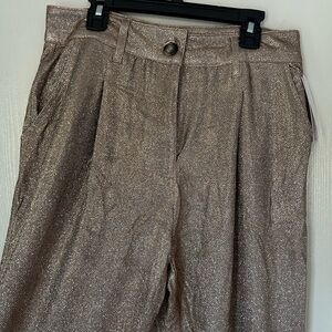 NWT Wild Fable Sparkle Pants